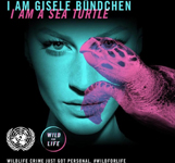 Wild for Life (-2016)