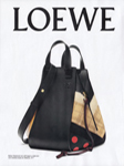 Loewe (-2017)