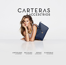 Falabella (-2017)