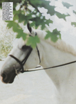 Allure (USA-1994) Allure (USA-1994)
