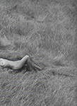 25 (USA-2014) 25 (USA-2014)