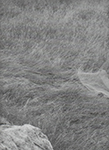 25 (USA-2014) 25 (USA-2014)