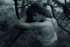 Triumph (-2014)