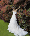 Pronovias (-2008) Pronovias (-2008)