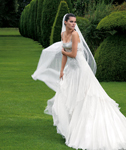Pronovias (-2008) Pronovias (-2008)