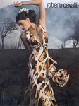 Roberto Cavalli (-2008) Roberto Cavalli (-2008)