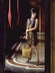 Bottega Veneta (-2011)