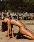 Bikini Lovers (-2025) Bikini Lovers (-2025)