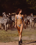 Bikini Lovers (-2025) Bikini Lovers (-2025)