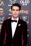 2020 01 25 - Goya Cinema Awards 2020 at Jose Maria Martin Carpena Sports Palace in Malaga, Spain. (2020) 2020 01 25 - Goya Cinema Awards 2020 at Jose Maria Martin Carpena Sports Palace in Malaga, Spain. (2020)