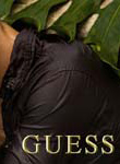 Guess (-2008)
