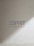 Esprit (-2010)
