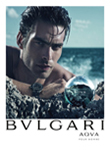 Bvlgari (-2014)