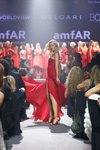 amfAR (-2014)