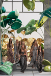 Roberto Cavalli (-2011)