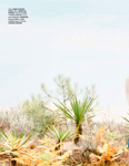 Elle (France-2015) Elle (France-2015)