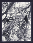 Harper's Bazaar (France-2023) Harper's Bazaar (France-2023)
