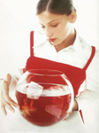 Tara Jarmon (-1995)
