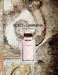 Dolce & Gabbana (-2012)