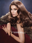 L'Oreal (-2013)