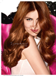 L'Oreal (-2015)