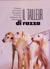 Linea (Italy-January 1985)