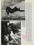 Elle (Germany-1995)