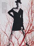 Harper's Bazaar (USA-1997) Harper's Bazaar (USA-1997)