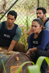 2024 - NCIS Hawai'i (2024)