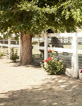 Westlake Malibu (USA-2020)