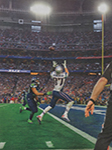 Sports Illustrated (USA-2015) Sports Illustrated (USA-2015)